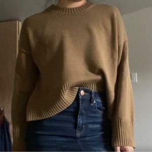 Everlane Cotton Knit Sweater Brown